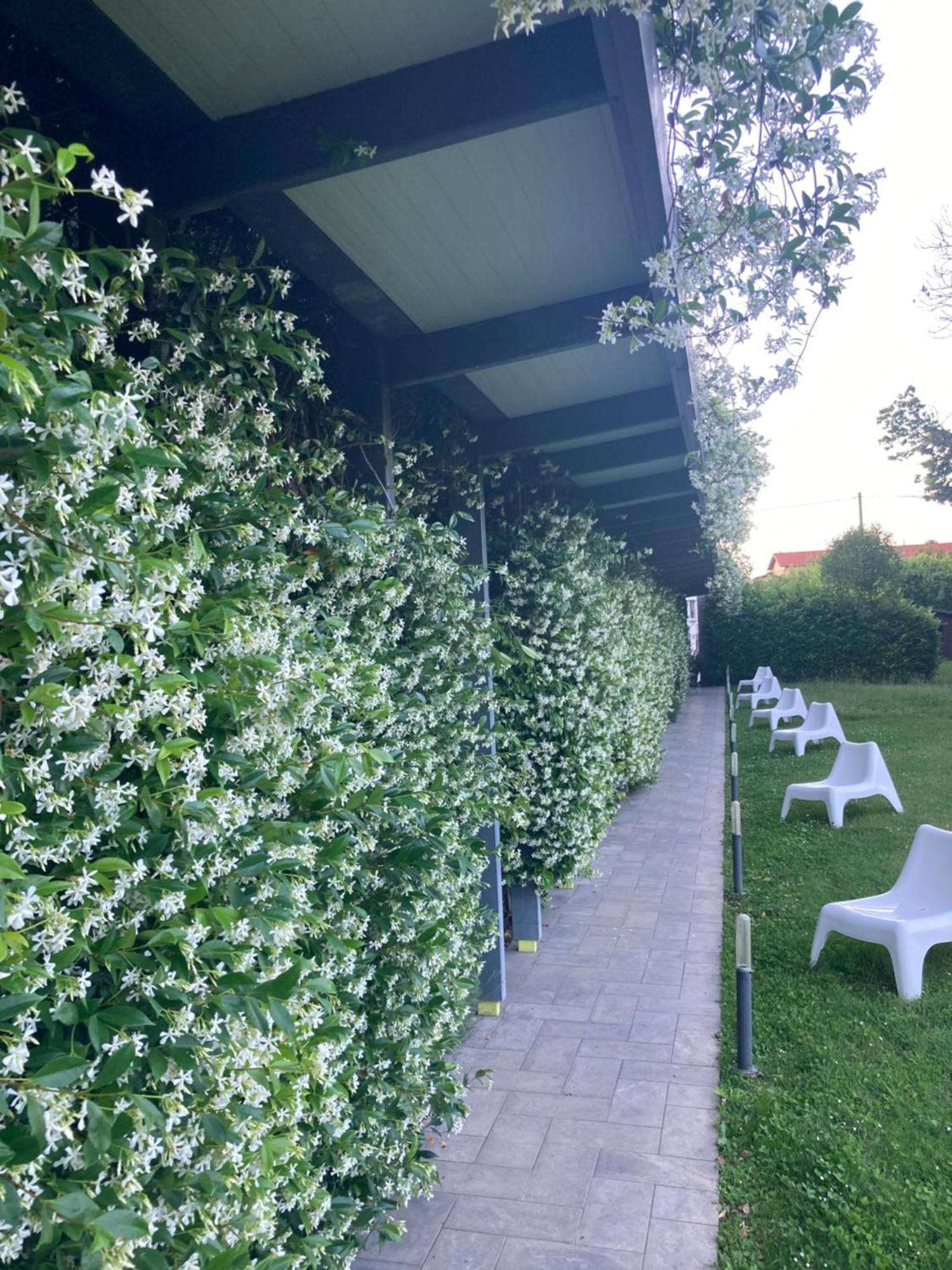 Mxp Rooms Guest House Cardano Al Campo Dış mekan fotoğraf