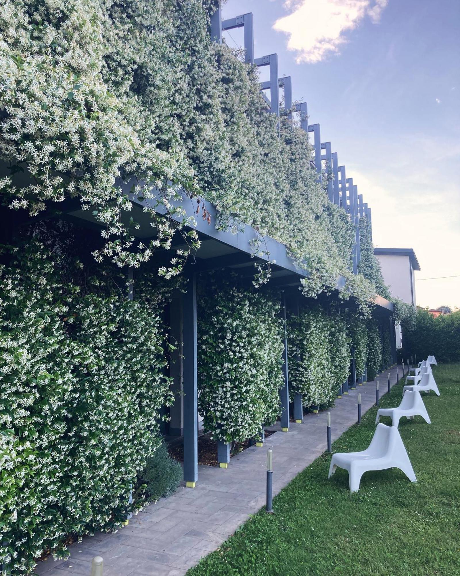 Mxp Rooms Guest House Cardano Al Campo Dış mekan fotoğraf